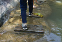 La libertad de quien lidera