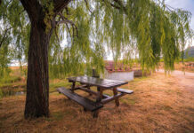 Entra en mi descanso