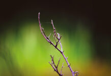 ¿Qué podemos hacer?