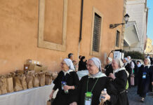 Peregrinos de esperanza por los caminos de la paz