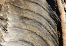 Vida consagrada… una vida fundada en la roca