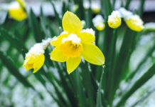 De la resignación a la resurrección: una vida religiosa que sueña lo imposible