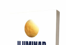 Iluminar, no deslumbrar. Apuntes de liderazgo para quienes se proponen servir