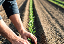 Sembradores que salen a sembrar. La misión de la vida consagrada